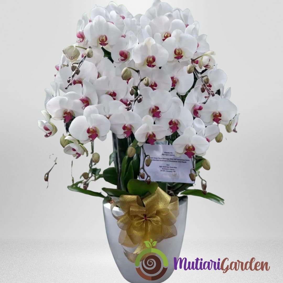 harga-rangkaian-anggrek-premium.jpg